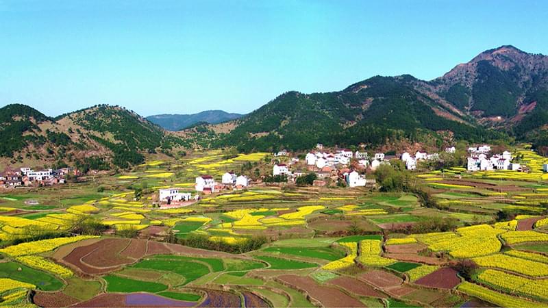 安防監(jiān)控公司創(chuàng)通寶論建設平安鄉(xiāng)村目前的現(xiàn)狀有哪些